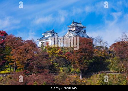 Schloss Echizen Ono im Herbst Stockfoto