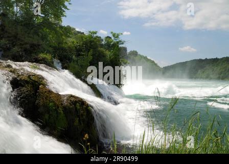Rheinfall bei Schaffhausen in der Schweiz Stockfoto