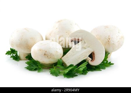 Champignon-Pilze und Petersilie isoliert auf weißem Hintergrund Stockfoto