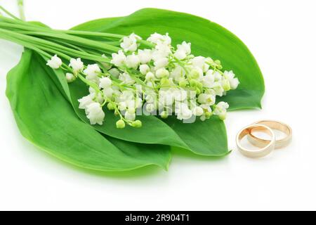 Lily Of The Valley und goldene Ringe, Isolated on White Background Stockfoto