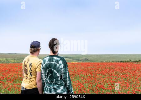 Ein paar Urlauber, die den atemberaubenden Anblick eines Feldes voller Common Poppies Papaver Rhoeas an der Küste von Crantock Bay in Newquay in genießen Stockfoto