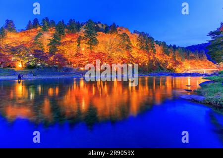 Die Korankei-Schlucht erleuchtete im Herbstlaub Stockfoto