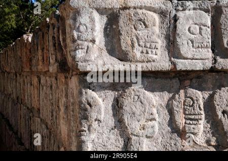 Schädelbefreiung, Plataforma de los Craneos Tzompantli, Chichen Itza, Yucatan, Yucatan, Mexiko Stockfoto