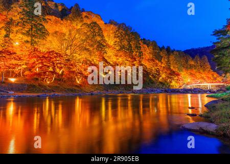 Die Korankei-Schlucht erleuchtete im Herbstlaub Stockfoto