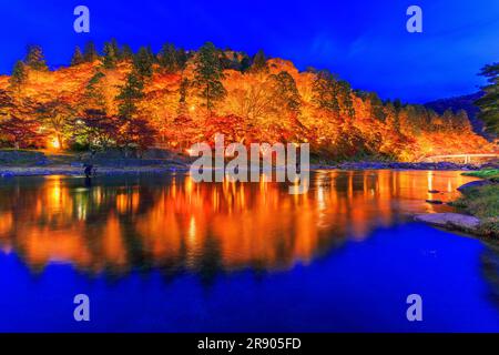 Die Korankei-Schlucht erleuchtete im Herbstlaub Stockfoto