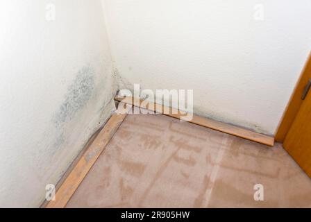 Schimmel an der Wand, Wasserschaden flach, schimmelig, schimmelig Stockfoto