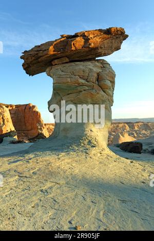 Gestuet Horse Point, in der Naehe von Page, Arizona, USA Stockfoto