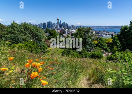 Seattle, WA, USA - Juli 2022; Panoramablick auf Seattle mit orangefarbenen Blüten vorne und Space Needle im Hintergrund mit dem Stratovulkan Mt Raini Stockfoto