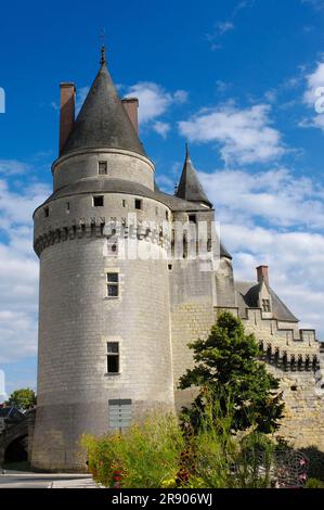 Chateau de Langeais, Langeais, Pays de la Loire, Indre-et-Loire, Centre, Frankreich Stockfoto