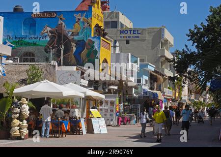 Tequila-Gemälde an der Wand eines Hauses, Fifth Avenue, Playa del Carmen, Quintana Roo, Yucatan, Mexiko Stockfoto