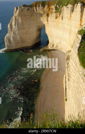 Felsige Küste, nahe Etretat, Alabasterküste, Haute-Normandie, Normandie, Frankreich, Cote d'Albatre Stockfoto