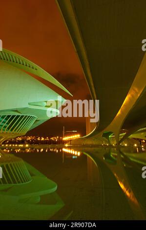 Opera Palau de les Arts Reina Sofia, Monteolivete Brücke, Architekt Santiago Calatrava, Viertel der Künste und Wissenschaften, Valencia, Spanien Stockfoto