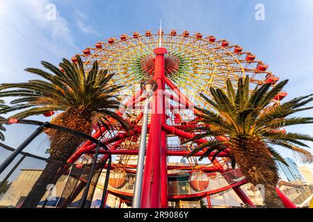 Am frühen Morgen bietet sich ein Blick aus dem niedrigen Winkel auf das Mosaic Big Ferries Wheel im Hafengebiet von Kobe an. Zwei Palmen auf jeder Seite. Stockfoto