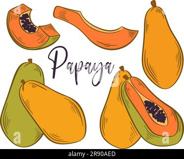 Vollständiges, in Scheiben geschnittenes, halbhandgezogenes Papaya-Set Stock Vektor