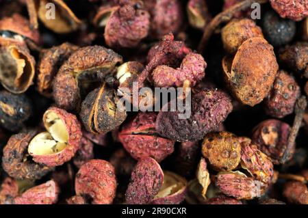 Sichuanpfeffer (Simulans) (Bungeanum) (rhetsa) (Akanthopodium), Blütenpfeffer, Szetschuanpfeffer, Bergpfeffer, Chinesischer Pfeffer, Zanthoxylum Stockfoto