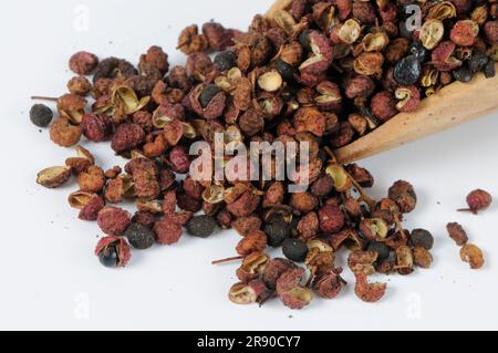 Sichuanpfeffer (Simulans) (Bungeanum) (rhetsa) (Akanthopodium), Blütenpfeffer, Szetschuanpfeffer, Bergpfeffer, Chinesischer Pfeffer, Zanthoxylum Stockfoto