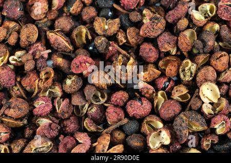 Sichuanpfeffer (Simulans) (Bungeanum) (rhetsa) (Akanthopodium), Blütenpfeffer, Szetschuanpfeffer, Bergpfeffer, Chinesischer Pfeffer, Zanthoxylum Stockfoto