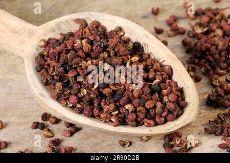 Sichuanpfeffer (Simulans) (Bungeanum) (rhetsa) (Akanthopodium), Blütenpfeffer, Szetschuanpfeffer, Bergpfeffer, Chinesischer Pfeffer, Zanthoxylum Stockfoto