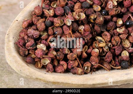 Sichuanpfeffer (Simulans) (Bungeanum) (rhetsa) (Akanthopodium), Blütenpfeffer, Szetschuanpfeffer, Bergpfeffer, Chinesischer Pfeffer, Zanthoxylum Stockfoto