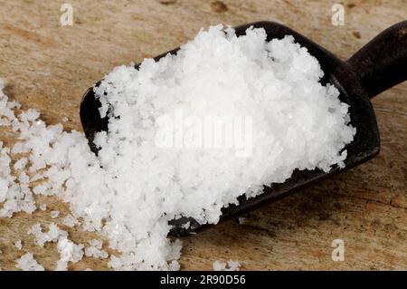 Salt Fleur de Sel, Salzblume, weißes Meersalz aus dem Atlantik Stockfoto