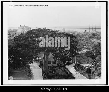 Hafen vom Royal Victoria Hotel, Nassau, Bahama Islds., c1901. Stockfoto