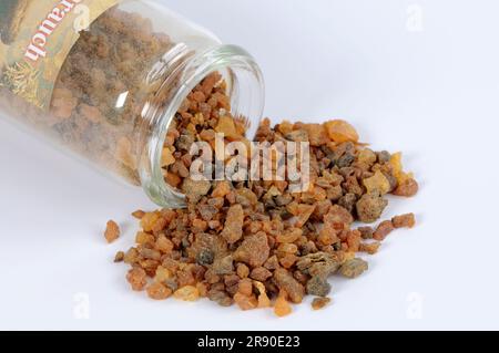 Commiphora habessinica-Baumharz (Commiphora abyssinica), Räucherwerk Stockfoto