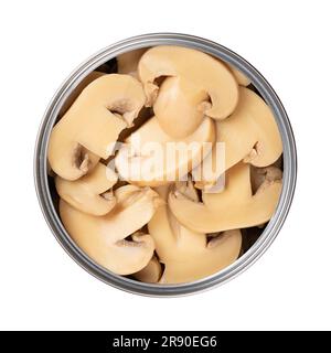 In Dosen geschnittene Champignon-Pilze, in einer offenen Dose. Agaricus bisporus, auch bekannt als gewöhnlicher, Button-, Kulturpilz oder Tafelpilz. Nahaufnahme. Stockfoto