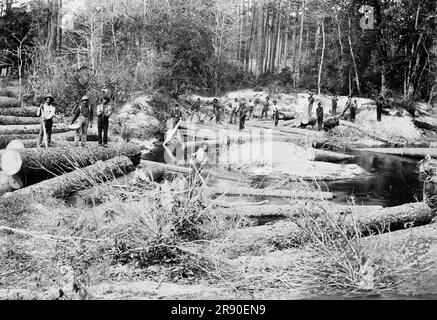 Rafting Pinienstämme, Keystone Lumber Company, 1901. Dezember 29. Stockfoto