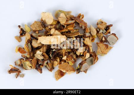 Schlangengurke (Trichosanthis Fructus), Gua Lou, ausgeschnitten, Gegenstand Stockfoto