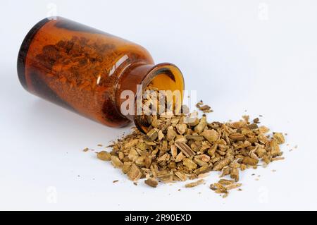 Rhabarberwurzel (Rhei Radix et Rhizoma), Da Huang, ausgeschnitten, Objekt Stockfoto