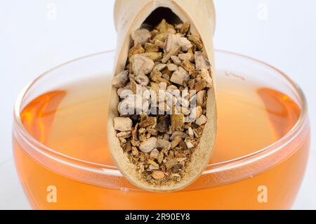 Tasse Rhubarb Root Tea (Rhei Radix et Rhizoma), Rhubarb Root Tea, Da Huang Stockfoto