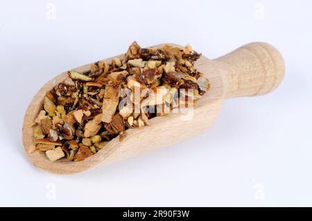 Schlangengurke (Trichosanthis Fructus), Gua Lou, ausgeschnitten, Gegenstand Stockfoto