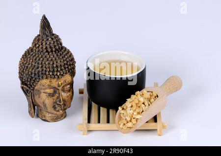 Tasse Bell Winch Root Tea, Dang Shen, Bell Winch Root Tea (Codonopsis Radix) Stockfoto