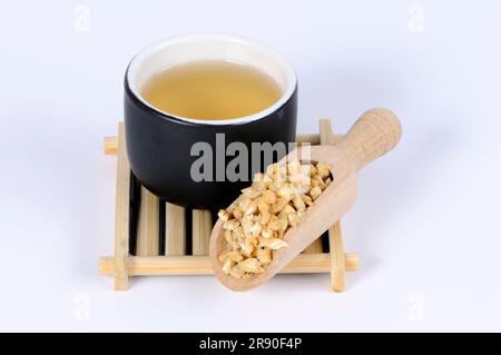 Tasse Bell Winch Root Tea, Dang Shen, Bell Winch Root Tea (Codonopsis Radix) Stockfoto