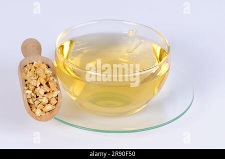 Tasse Bell Winch Root Tea, Dang Shen, Bell Winch Root Tea (Codonopsis Radix) Stockfoto