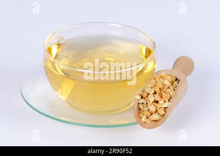 Tasse Bell Winch Root Tea, Dang Shen, Bell Winch Root Tea (Codonopsis Radix) Stockfoto