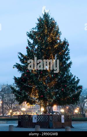 Weihnachtsbaum vor der Basilika Notre-Dame, Paris, Frankreich Stockfoto