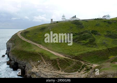 Lighthouse, Cliff, Durlston Head, Swanage, County Dorset, Purbeck Peninsula, England, Dorsetshire Stockfoto