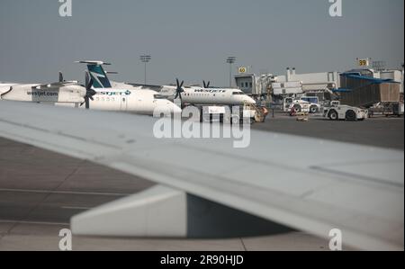 WestJet-Flugzeuge auf der Servicerampe am Calgary Airport in Alberta, Kanada. Stockfoto