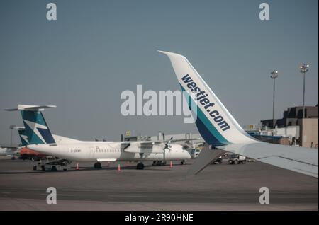 WestJet-Flugzeuge auf der Servicerampe am Calgary Airport in Alberta, Kanada. Stockfoto