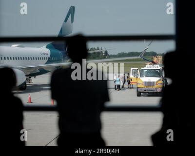 WestJet-Flugzeuge auf der Servicerampe am Calgary Airport in Alberta, Kanada. Stockfoto