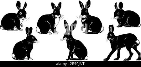Kaninchen-Silhouetten. Vektorkliparts auf weiß isoliert. Stock Vektor