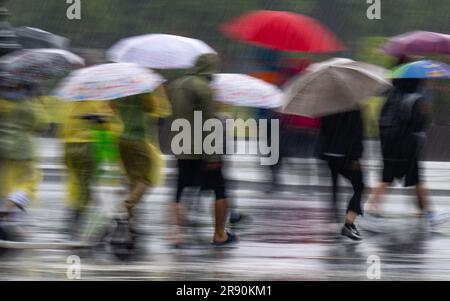 23. Juni 2023, Berlin: Touristen mit Regenschirmen und Regenponchos gehen im strömenden Regen auf der Straße unter den Linden. Foto: Monika Skolimowska/dpa Stockfoto