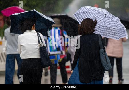 23. Juni 2023, Berlin: Touristen mit Regenschirmen und Regenponchos machen einen Spaziergang durch das Stadtzentrum im strömenden Regen. Foto: Monika Skolimowska/dpa Stockfoto