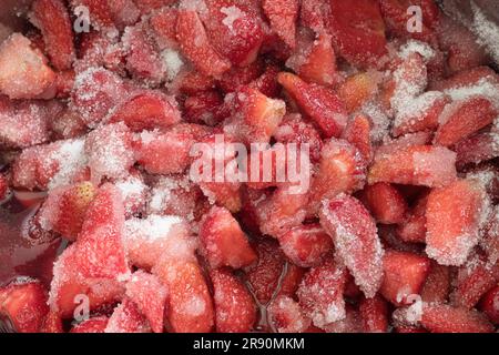 Frische Erdbeeren, mit Zucker bestreut, um Marmelade zu machen. Papierstau verursachen. Rote und reife Erdbeeren mit Zucker bestreut Stockfoto