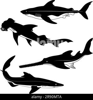 Silhouetten von Haiarten. Dornhai, Hammerhai, Sägefisch, Hundfisch. Vektor-Cliparts. Stock Vektor