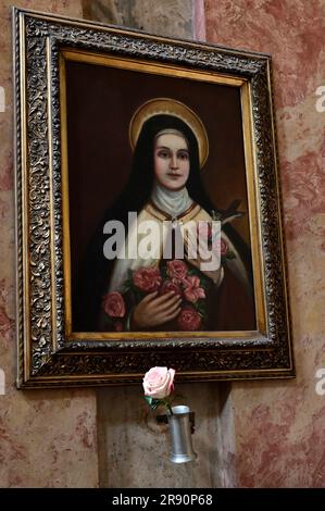 Wien, Österreich. Die Peterskirche (St. Barockkirche der römisch-katholischen Gemeinde in Wien Stockfoto