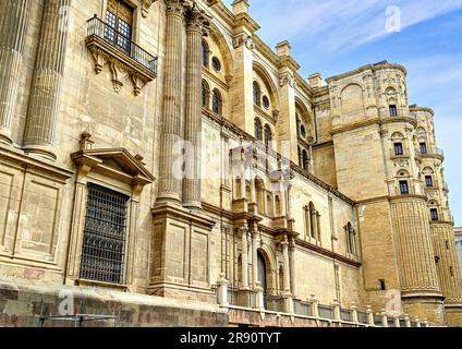 Blick auf die Basilika Santa Iglesia de la Encarnacion oder die Kathedrale von Malaga, Andalusien, Spanien Stockfoto