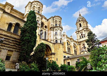 Blick auf die Basilika Santa Iglesia de la Encarnacion oder die Kathedrale von Malaga, Andalusien, Spanien Stockfoto