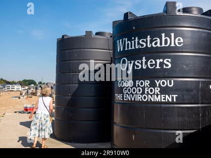 Whitstable North Kent, England, Vereinigtes Königreich - an der Küste entsorgte Austernschalen Stockfoto